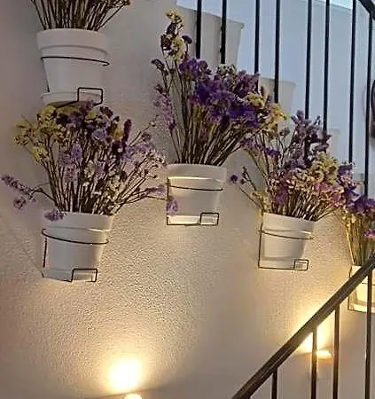 Hotel Sao Miguel 2*